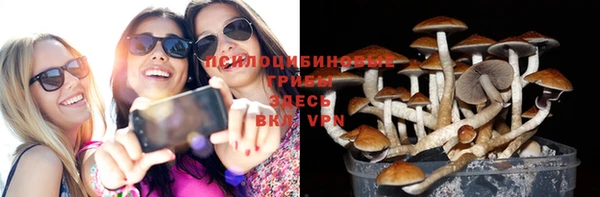 круглые Алзамай