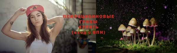 метадон Алексеевка